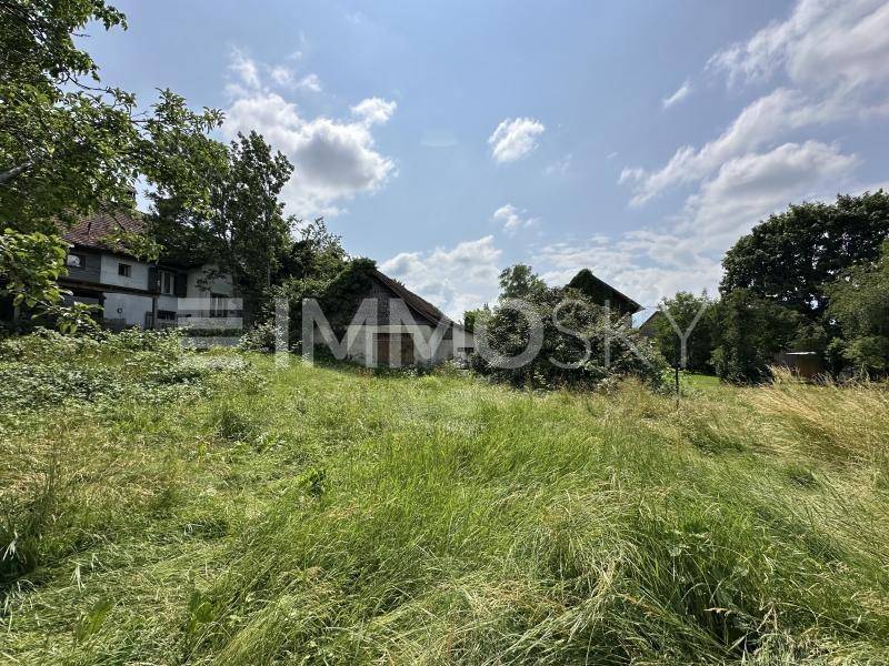 Großes, ungemähtes Feld mit mehreren Häusern und Bäumen im Hintergrund unter weitem Himmel.