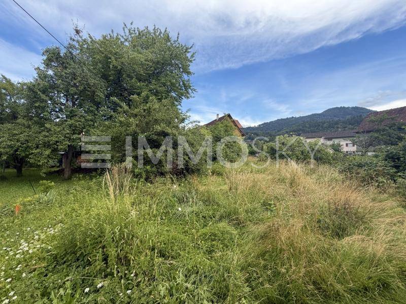 Weitläufiges, grasbewachsenes Grundstück mit Bäumen und einem Haus im Hintergrund unter blauem Himmel.
