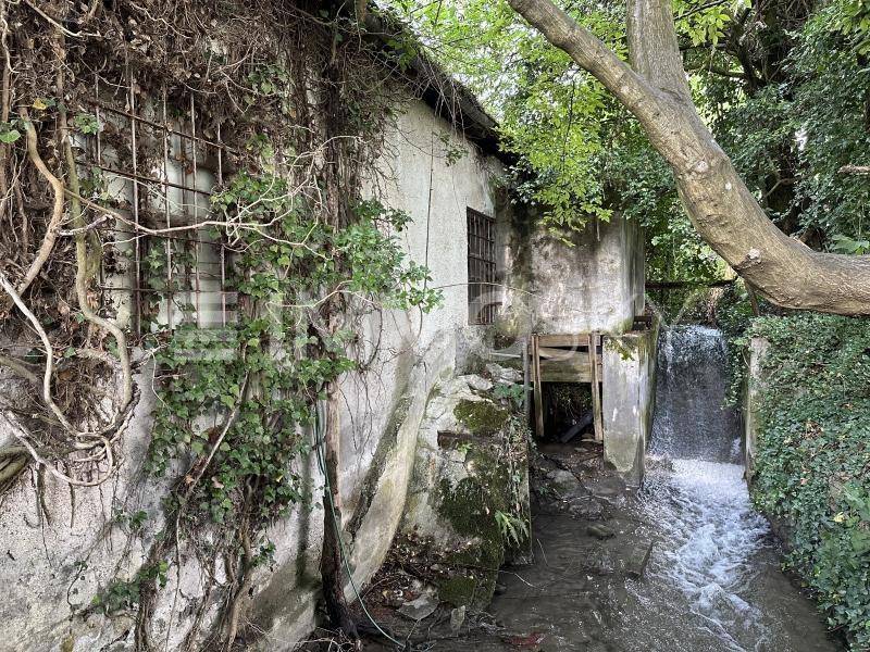 Altes, von Efeu bewachsenes Gebäude neben einem kleinen Wasserfall in einer grünen Umgebung.