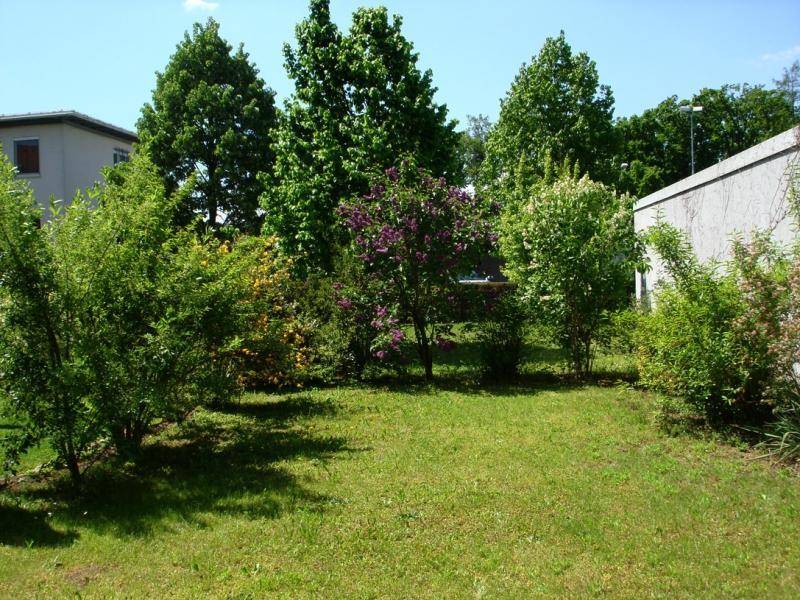 Gepflegter Gartenbereich mit Rasenfläche, blühenden Sträuchern und Bäumen.