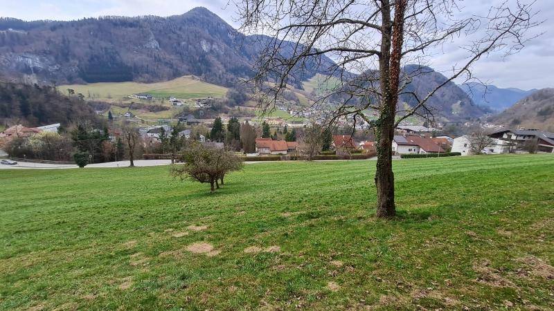 Grüne Wiesenfläche mit einem markanten Baum im Vordergrund und einem weiten Blick auf das Tal und die Bergwelt.