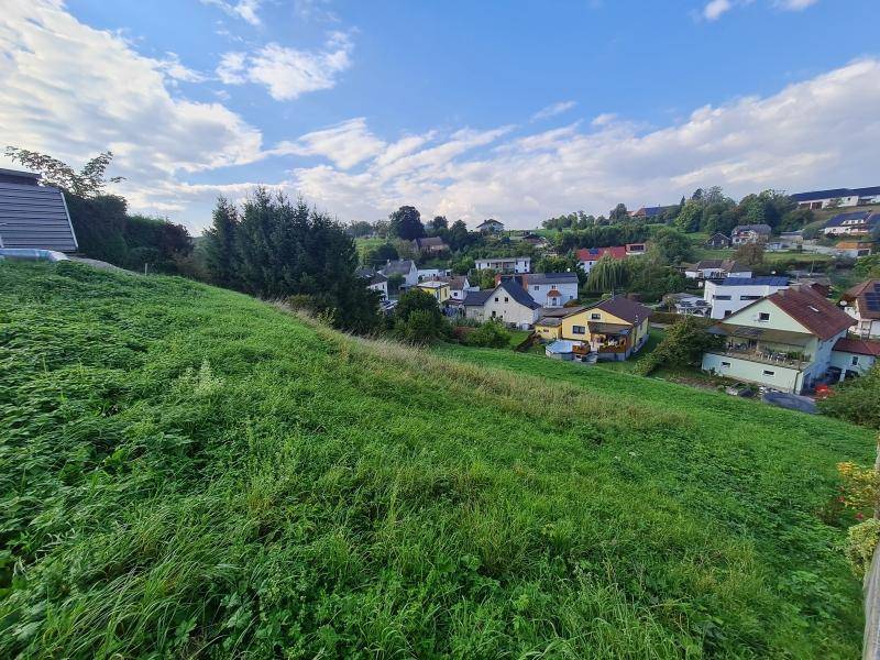 Weitläufige grüne Wiese mit Blick auf eine ruhige Wohngegend unter einem teilweise bewölkten Himmel.