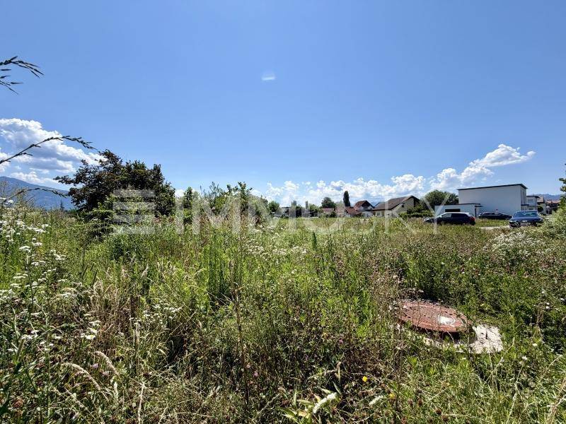 Offenes Feld mit hohem Gras und Blick auf eine Siedlung mit Häusern und Fahrzeugen im Hintergrund.