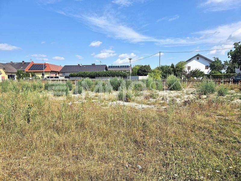 Weitläufiges, sonniges Grundstück mit hohem Gras und Blick auf eine Wohnsiedlung in der Ferne.