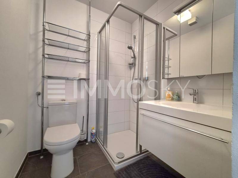 Modernes Badezimmer mit Duschkabine, WC und Waschbecken mit Spiegelschrank auf dunklen Fliesen.