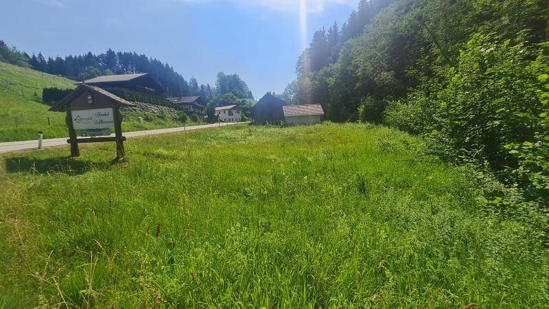 Grüne Wiese mit einem Holzschild und Häusern am Hang, umgeben von üppiger Vegetation.