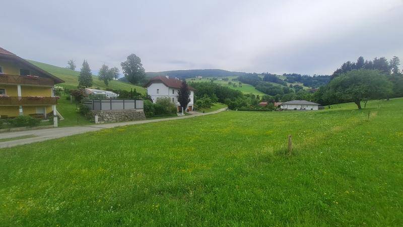 Panoramablick über grüne Hügel und Wiesen mit einigen Wohnhäusern in der Ferne.