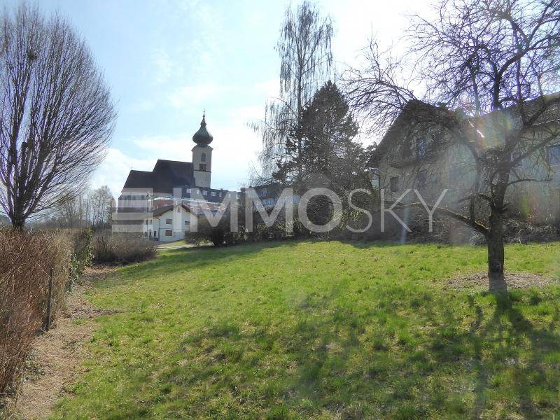 Gepflegte Rasenfläche mit Baumbestand und Blick auf eine Kirche im Hintergrund.
