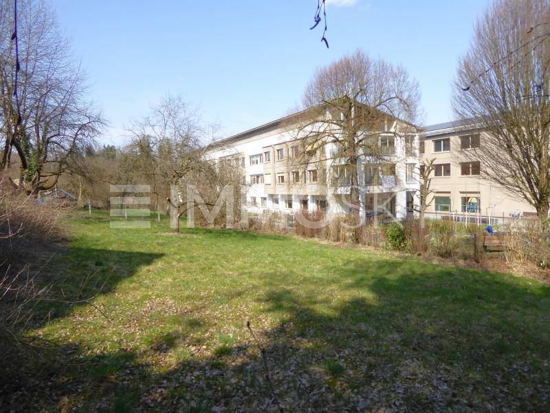 Offene Rasenfläche mit Bäumen und Blick auf ein großes Gebäude im Hintergrund.