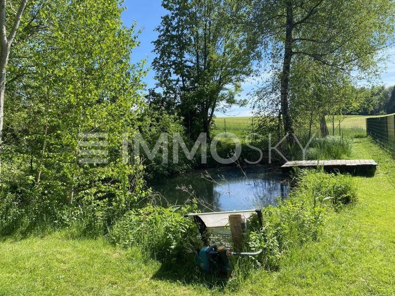 Natürlicher Teich umgeben von üppigem Grün und Bäumen, mit einem kleinen Holzsteg.