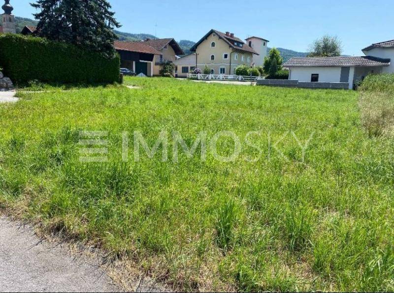 Großes, sonniges Baugrundstück mit viel Grün, umgeben von Einfamilienhäusern in ruhiger Lage.