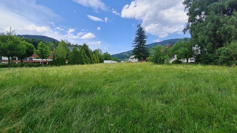 Weitläufige grüne Wiese mit Blick auf die umliegende Bebauung und die Berge.