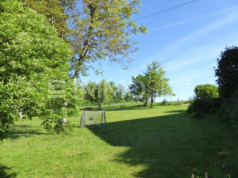 Weitläufige Rasenfläche im Garten mit Bäumen und einem kleinen Fußballtor unter blauem Himmel.