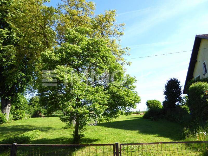 Sonnige Gartenansicht mit üppigem Grün, hohen Bäumen und einem Zaun im Vordergrund.
