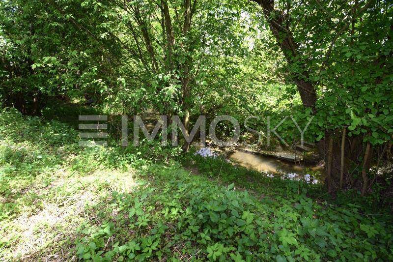Kleiner Bach fließt durch ein dicht bewaldetes Gebiet mit viel Grün und Bäumen im Sonnenlicht.
