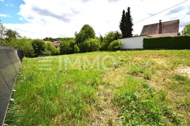 Offenes Grasland mit einem Haus und Bäumen im Hintergrund, unter einem sonnigen Himmel mit Solaranlage.