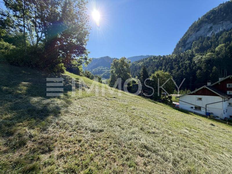 Sonniger Hang mit frisch gemähtem Gras und Blick auf die bewaldeten Berge im Hintergrund.