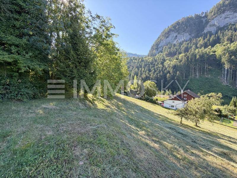 Natürliche Umgebung mit hohen Bäumen, einer Wiese und Häusern am Fuße eines bewaldeten Berges.