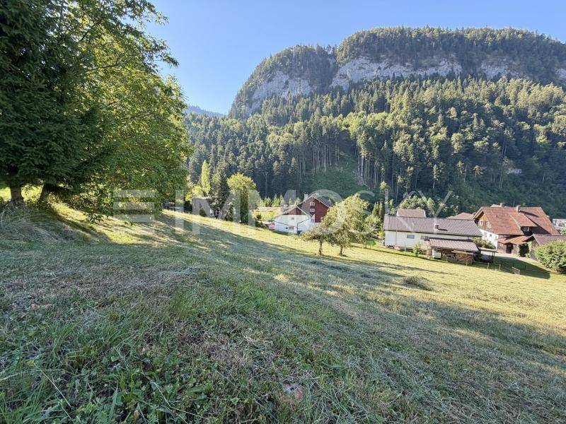 Idyllische ländliche Umgebung mit grünen Wiesen, Bäumen und Häusern vor einer majestätischen Bergkulisse.