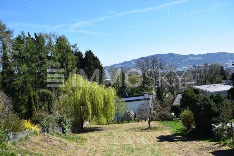Großes Grundstück mit üppiger Vegetation und Panoramablick auf die umliegende Landschaft.