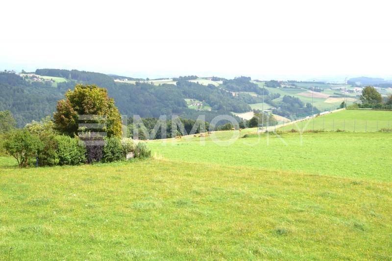 Weitläufige grüne Landschaft mit sanften Hügeln und Bäumen unter hellem Himmel.