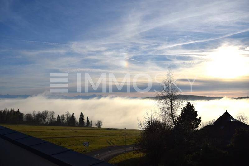 Malerischer Ausblick über nebelverhangene Täler und Wälder bei Sonnenaufgang oder -untergang.