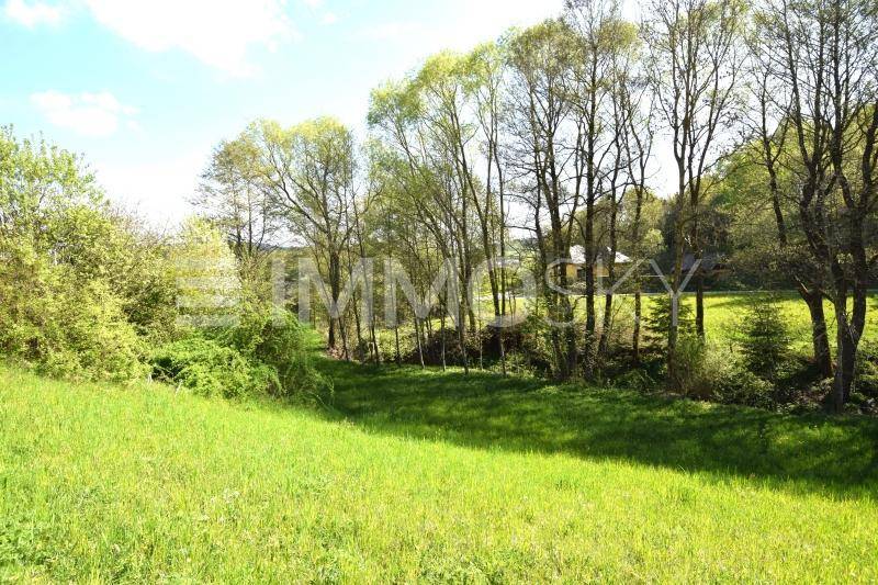 Weitläufige grüne Wiesenlandschaft mit vielen Bäumen unter einem klaren blauen Himmel.