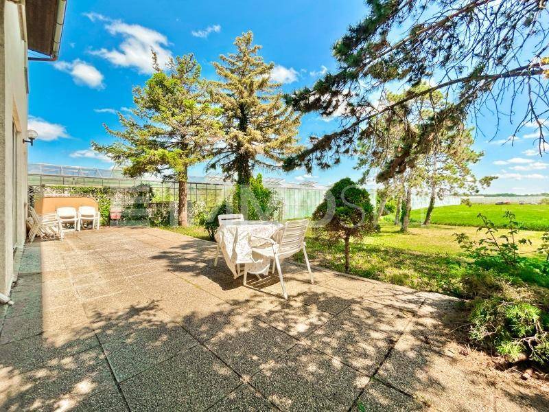 Gepflasterte Terrasse mit Gartenmöbeln, umgeben von Bäumen und Blick ins Grüne.