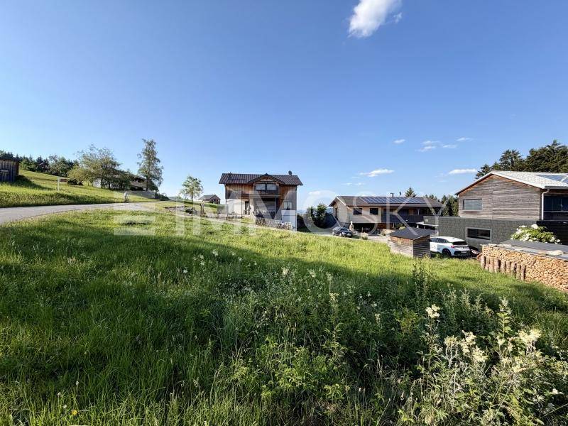 Idyllische Hanglage mit verschiedenen Wohnhäusern, umgeben von grüner Natur und Bäumen.