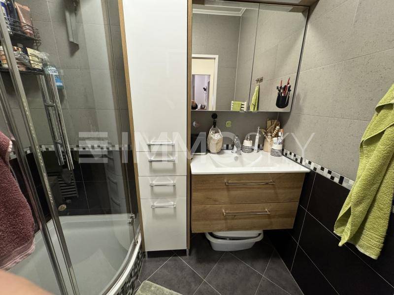 Modernes Badezimmer mit Duschkabine, Einzelwaschbecken und Spiegelschrank, gefliest in Grau und Schwarz.