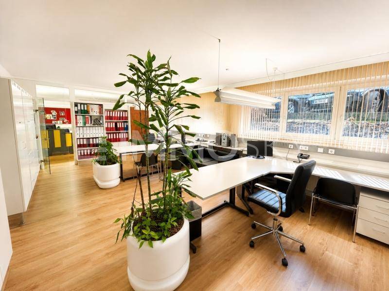 Großzügiger Bürobereich mit mehreren Arbeitsplätzen, Pflanzen und viel Tageslicht.