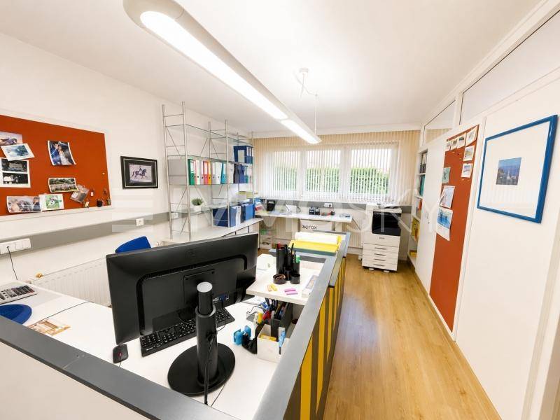 Helles Büro mit mehreren Arbeitsplätzen, Regalen und Blick ins Grüne.
