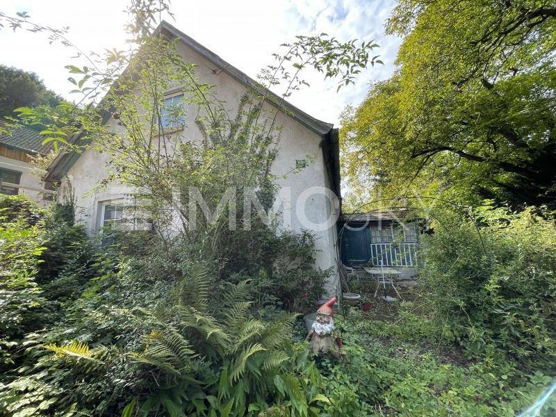 Verwildertes Haus mit Satteldach, umgeben von üppiger Vegetation und einem Gartenzwerg.