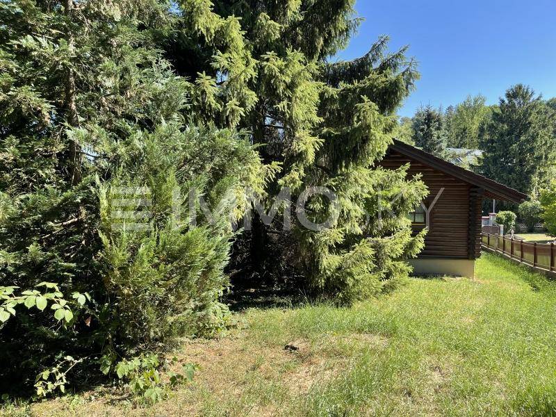 Teilansicht des Blockhauses, umgeben von dichten Nadelbäumen und Sträuchern, mit einem Holzzaun im Hintergrund.