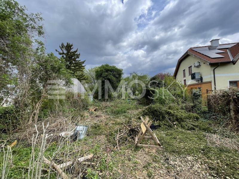 Verwilderter Gartenbereich mit viel Grün und einem Haus mit Solaranlage im Hintergrund.