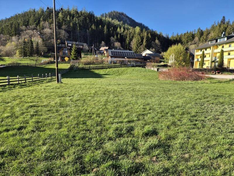 Großes grünes Grundstück mit Blick auf bewaldete Hügel und traditionelle Gebäude in der Ferne.
