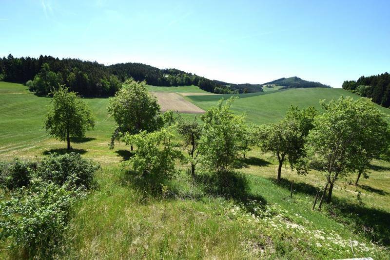 Weitläufige grüne Hügellandschaft mit Feldern und Wäldern unter blauem Himmel.