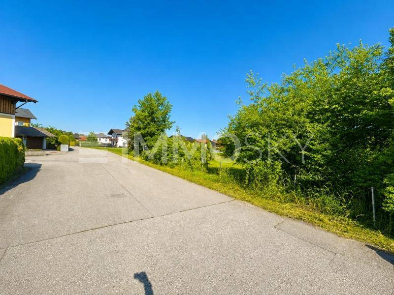 Ruhige Anliegerstraße mit Grünstreifen und Wohnhäusern in einer ländlichen Umgebung.