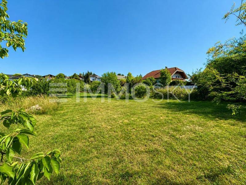 Weitläufige grüne Rasenfläche mit Bäumen und Häusern am Horizont unter blauem Himmel.