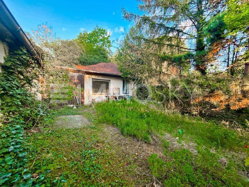 Ungepflegter Garten mit einem kleinen, rustikalen Nebengebäude und hohen Bäumen im Hintergrund.