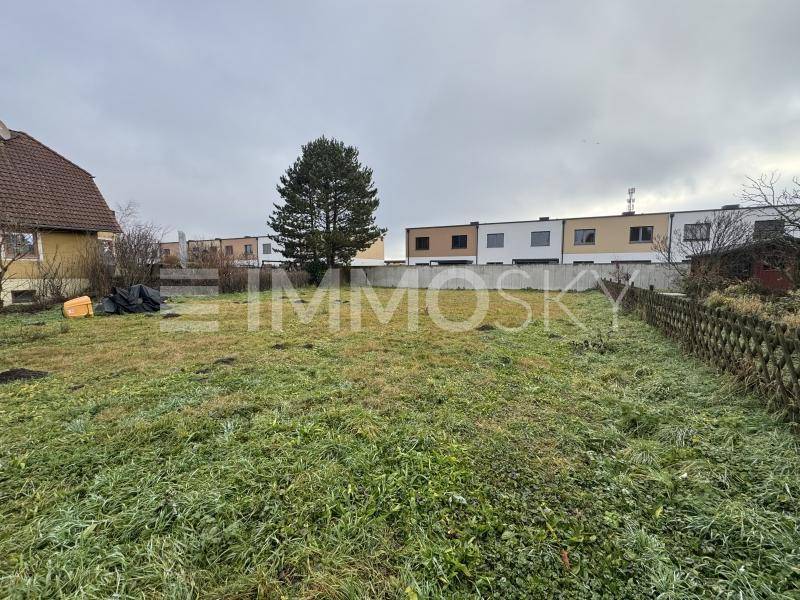 Offenes Grundstück mit grüner Grasfläche und einem einzelnen Baum, umgeben von einer Mauer und Gebäuden.