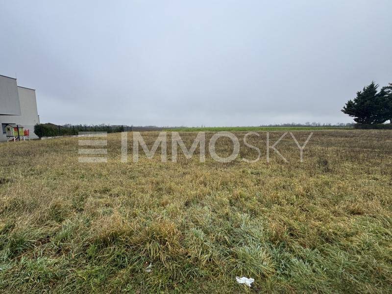 Offenes Feld mit hohem Gras und einem modernen Gebäude am linken Rand unter einem bewölkten Himmel.