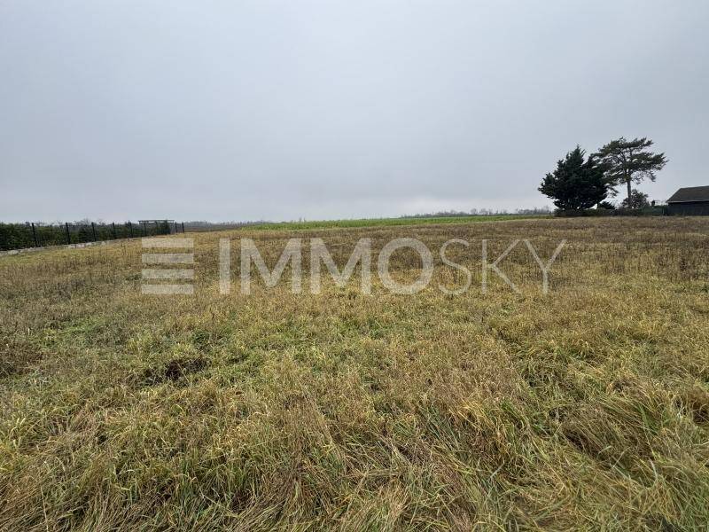 Großes, unbebautes Feld mit trockenem Gras und einem Zaun im Hintergrund, umgeben von Bäumen.
