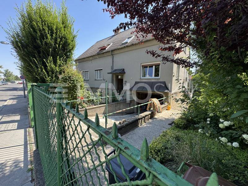 Seitenansicht des Hauses mit Eingangsbereich, Rampe und üppiger Bepflanzung im Vorgarten.