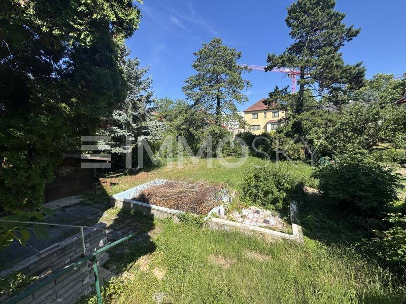 Verwilderter Gartenbereich mit einem stillgelegten Pool und hohen Bäumen unter blauem Himmel.