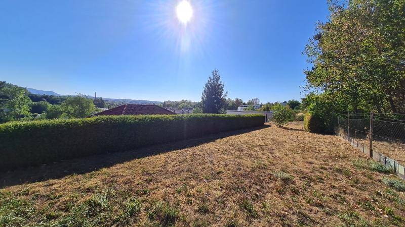 Großer, sonniger Gartenbereich mit einer hohen Hecke und Bäumen, der viel Platz bietet.