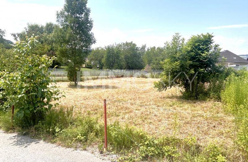 Weitläufige Ansicht eines Grundstücks mit trockenem Gras, Bäumen und einem Zaun am Rand.