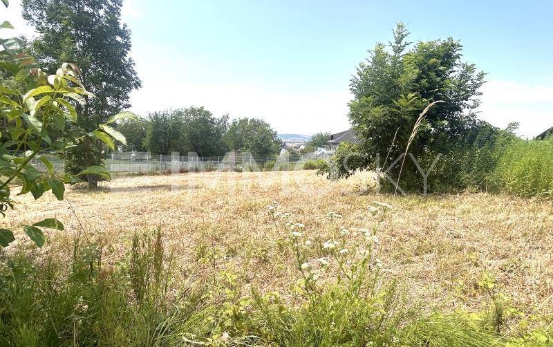 Sonniges Grundstück mit trockenem Gras, verschiedenen Bäumen und Häusern in der Ferne.
