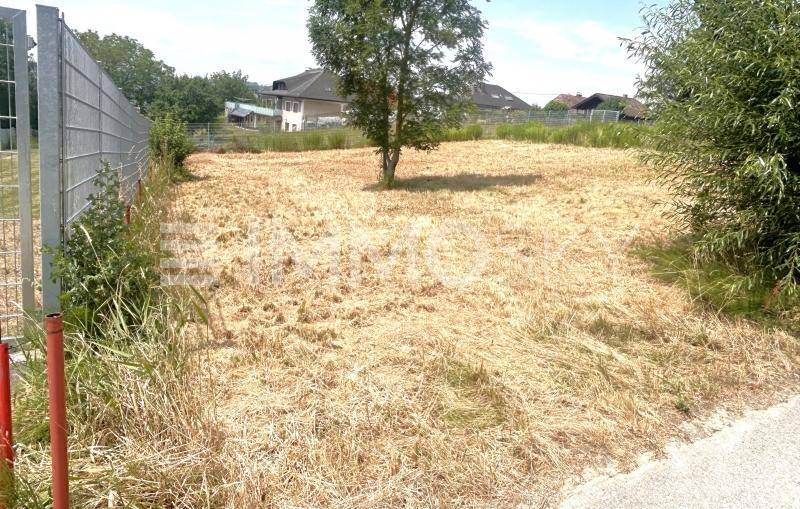 Grundstück mit trockenem Gras, einem einzelnen Baum und einem Metallzaun im Hintergrund.