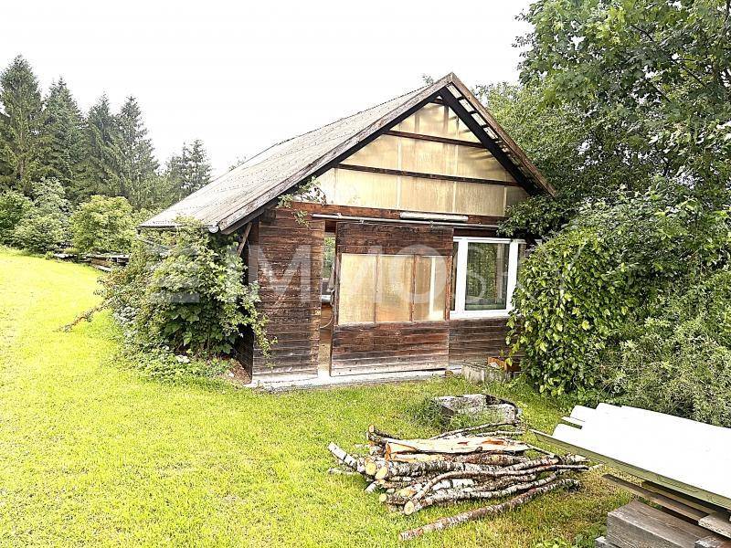 Gewächshaus